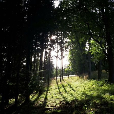 Olivin Kytlice Hiker Huts Hotel Eksteriør billede